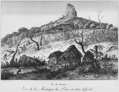 Vue de la montagne Pouce et défrichement de la forêt, Maurice, illustration de 